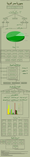 how egypt works thumb How Egypt Works   كيف تعمل مصر
